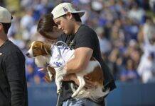 Shohei Ohtani’s Dog Awarded Rare Honor as Star Nabs Award Shohei Ohtani's Dog Awarded Rare Honor as Star Nabs Award