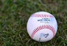 15 Interesting Baseball Facts Fans Might Not Know 15 Interesting Baseball Facts Fans Might Not Know